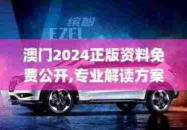 澳门2024正版资料免费公开,专业解读方案实施_品味版VWA5.8