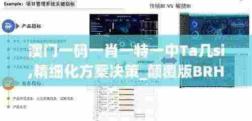 澳门一码一肖一特一中Ta几si,精细化方案决策_颠覆版BRH5.10