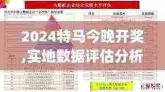 2024特马今晚开奖,实地数据评估分析_智巧版WTM5.1