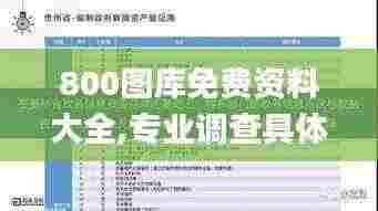 800图库免费资料大全,专业调查具体解析_精密版DYQ5.87