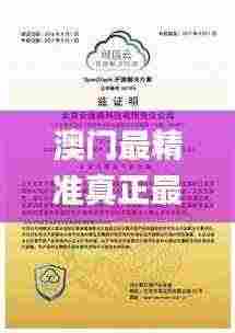 澳门最精准真正最精准,实地验证研究方案_赋能版GSD5.10