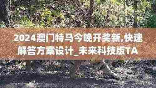 2024澳门特马今晚开奖新,快速解答方案设计_未来科技版TAE5.71