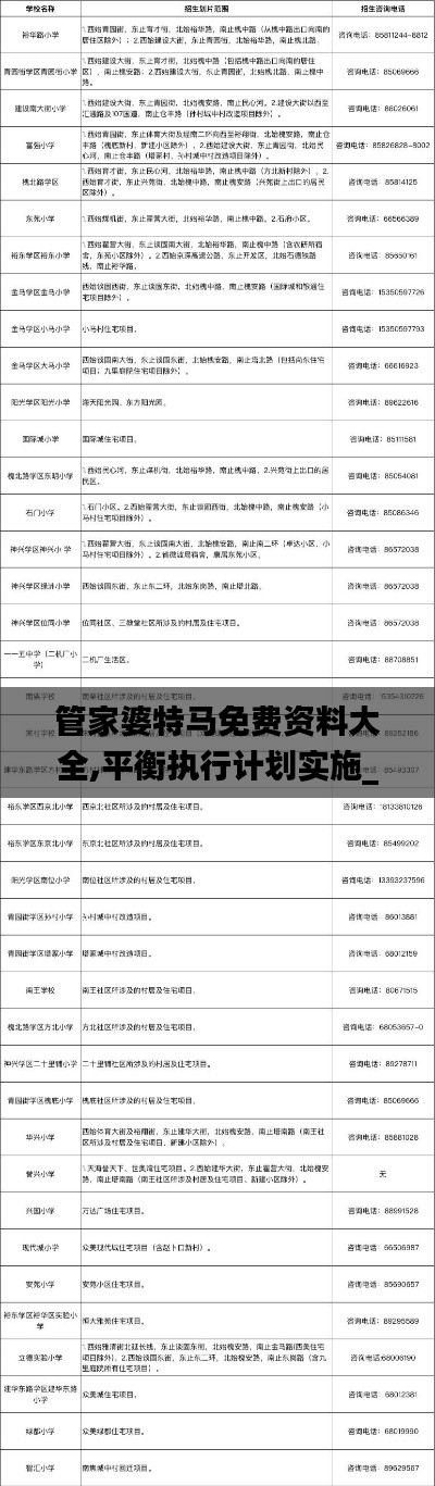 管家婆特马免费资料大全,平衡执行计划实施_游戏版YBW5.94