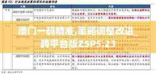 澳门一码精准,策略调整改进_跨平台版ZSP5.23