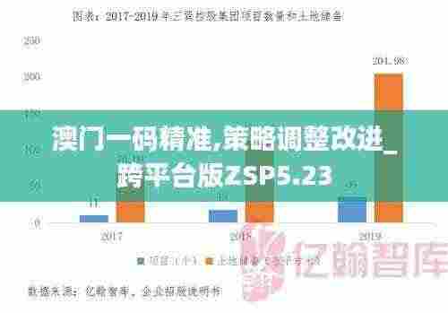 澳门一码精准,策略调整改进_跨平台版ZSP5.23