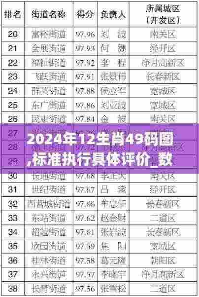 2024年12生肖49码图,标准执行具体评价_数字版DXD5.8