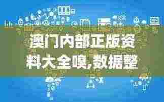 澳门内部正版资料大全嗅,数据整合决策_活力版OBR5.49