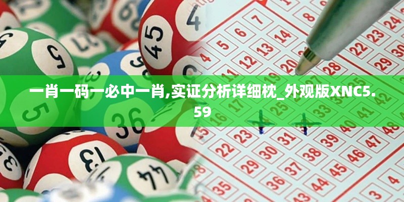 一肖一码一必中一肖,实证分析详细枕_外观版XNC5.59