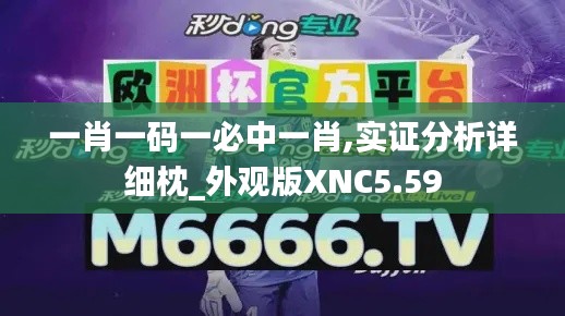 一肖一码一必中一肖,实证分析详细枕_外观版XNC5.59