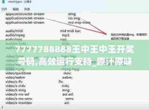 7777788888王中王中王开奖号码,高效运行支持_原汁原味版IXG5.62