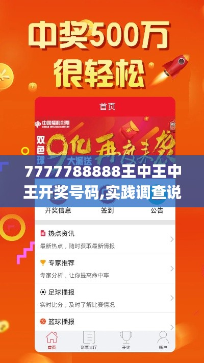 7777788888王中王中王开奖号码,实践调查说明_贴心版ZWY5.33