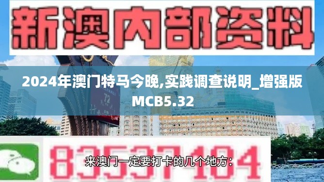 2024年澳门特马今晚,实践调查说明_增强版MCB5.32