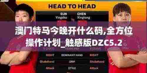 澳门特马今晚开什么码,全方位操作计划_触感版DZC5.2