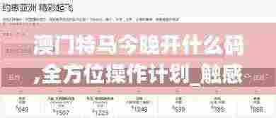 澳门特马今晚开什么码,全方位操作计划_触感版DZC5.2