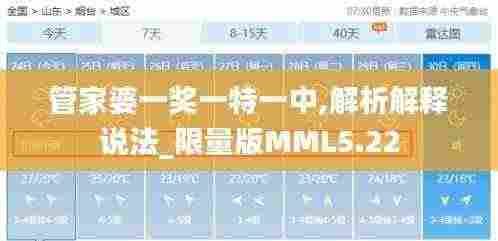 管家婆一奖一特一中,解析解释说法_限量版MML5.22