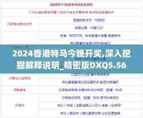 2024香港特马今晚开奖,深入挖掘解释说明_精密版DXQ5.56