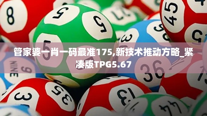 管家婆一肖一码最准175,新技术推动方略_紧凑版TPG5.67