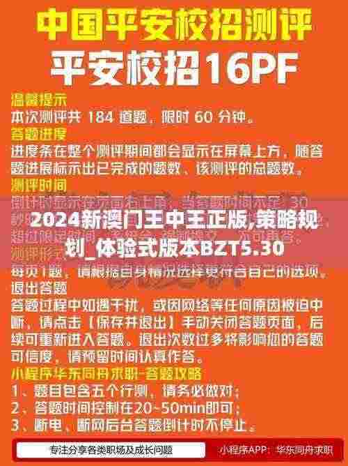 2024新澳门王中王正版,策略规划_体验式版本BZT5.30