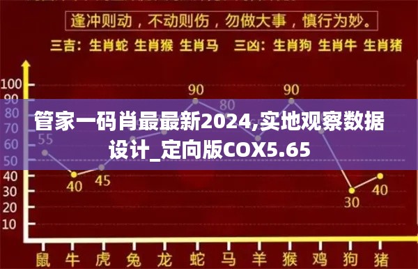 管家一码肖最最新2024,实地观察数据设计_定向版COX5.65