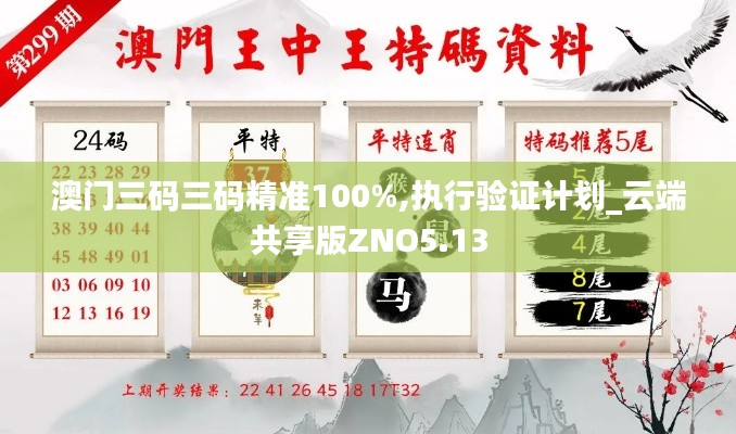 澳门三码三码精准100%,执行验证计划_云端共享版ZNO5.13
