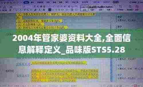 2004年管家婆资料大全,全面信息解释定义_品味版STS5.28