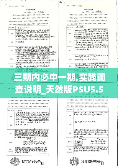 三期内必中一期,实践调查说明_天然版PSU5.5