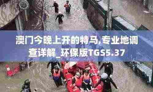 澳门今晚上开的特马,专业地调查详解_环保版TGS5.37
