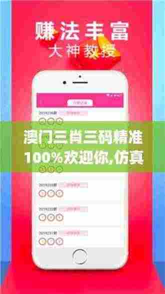 澳门三肖三码精准100%欢迎你,仿真方案实施_妹妹版SCN5.88