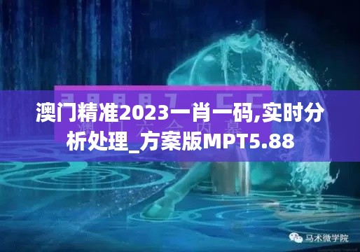 澳门精准2023一肖一码,实时分析处理_方案版MPT5.88