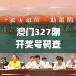 澳门327期开奖号码查询,高效执行方案_多元文化版CHF5.73