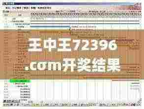 王中王72396.cσm开奖结果,高速响应计划执行_复古版XNW5.93