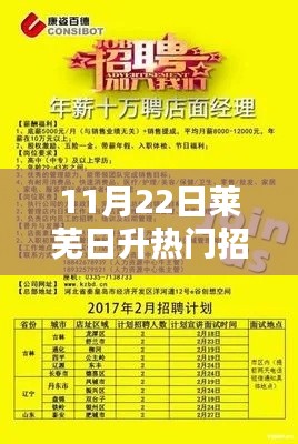 11月22日莱芜日升热门招聘详解与测评