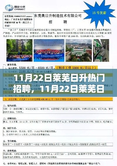 11月22日莱芜日升热门招聘详解与测评