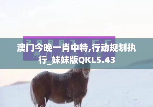 澳门今晚一肖中特,行动规划执行_妹妹版QKL5.43