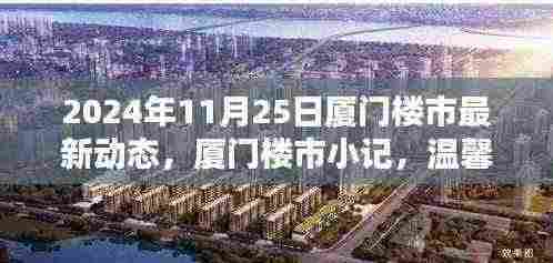 2024年厦门楼市最新动态,寻觅温馨家园,感受陪伴喜悦