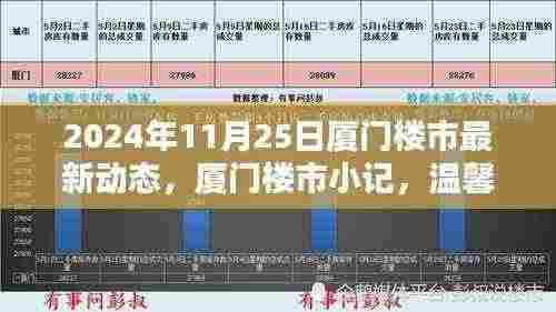 2024年厦门楼市最新动态,寻觅温馨家园,感受陪伴喜悦