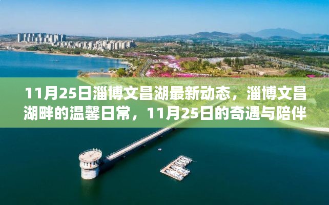 淄博文昌湖畔的温馨日常,奇遇与陪伴的温暖时光(11月25日最新动态)