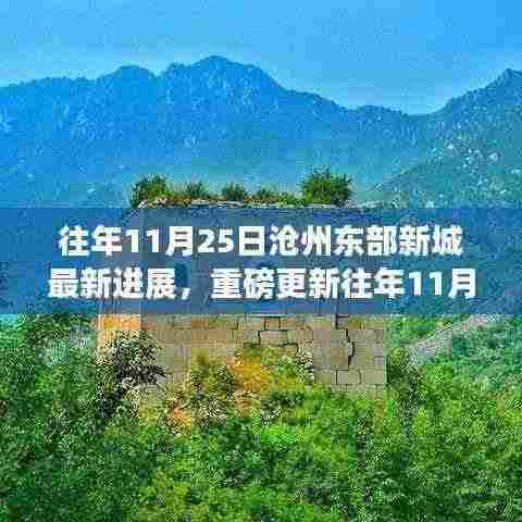 沧州东部新城蜕变之旅，最新进展全解析（往年11月25日更新）