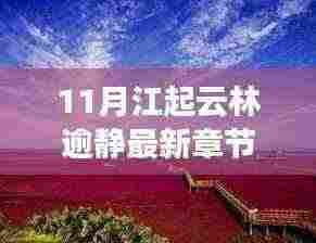 十一月江起云林逾静，自然美景的邂逅与内心平和的追寻