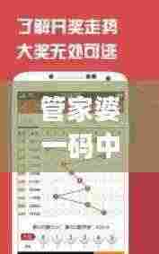 管家婆一码中一肖2024第332期,设计规划引导方式_智慧版LXR11.53