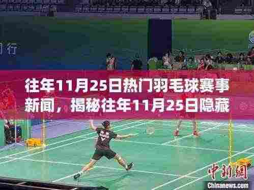 揭秘往年11月25日小巷羽毛球盛宴与独特小店，赛场内外的故事