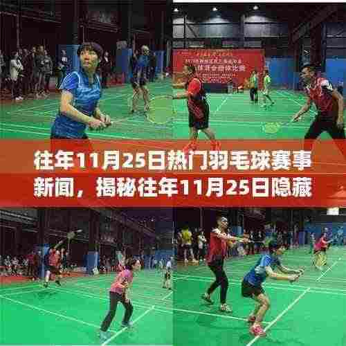 揭秘往年11月25日小巷羽毛球盛宴与独特小店,赛场内外的故事