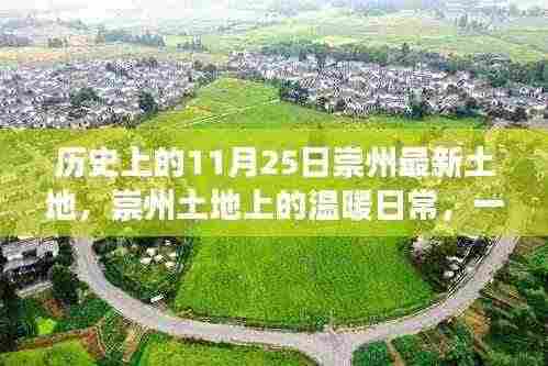 宵衣旰食 第7页