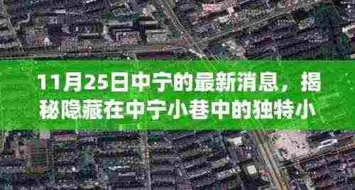 揭秘中宁小巷独特小店，味蕾与心灵的奇妙邂逅之旅（11月25日最新消息）