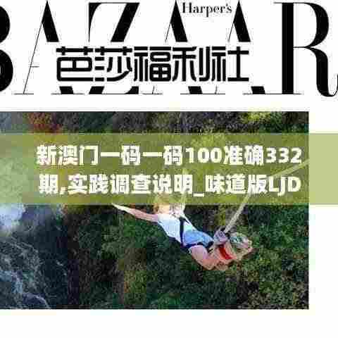 新澳门一码一码100准确332期,实践调查说明_味道版LJD11.10