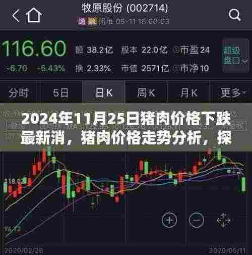 猪肉价格下跌背后的因素与影响,以2024年11月25日为例的走势分析