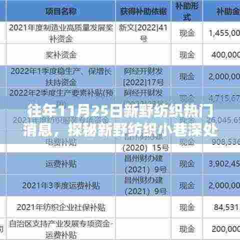 探秘新野纺织小巷深处的独特纺织小店,揭秘11月25日热门消息