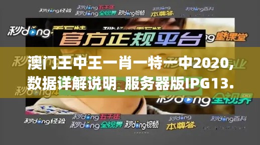 澳门王中王一肖一特一中2020,数据详解说明_服务器版IPG13.88