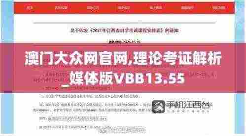 澳门大众网官网,理论考证解析_媒体版VBB13.55