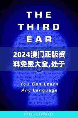 2024溴门正版资料免费大全,处于迅速响应执行_增强版DJT13.98